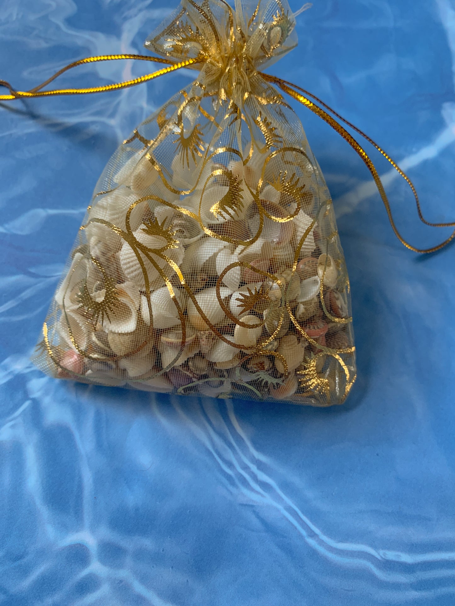 Seashell Confetti