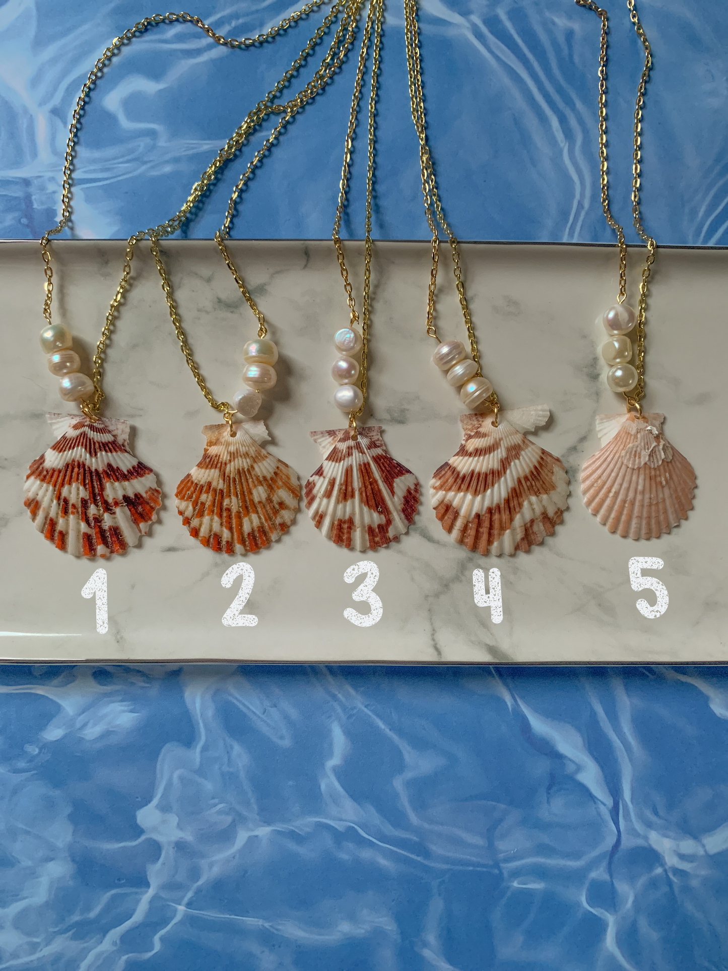 Seashell Necklace